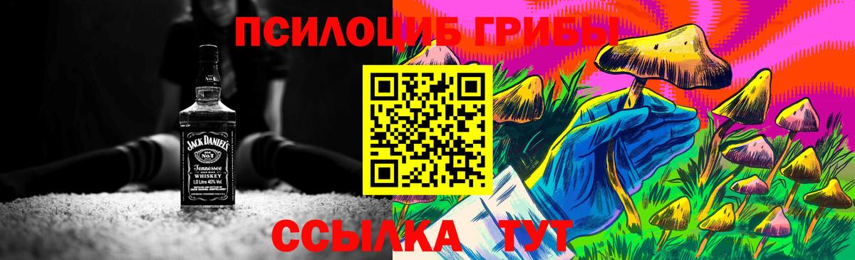 Галлюциногенные грибы GOLDEN TEACHER  Вход с VPN  Ковров 