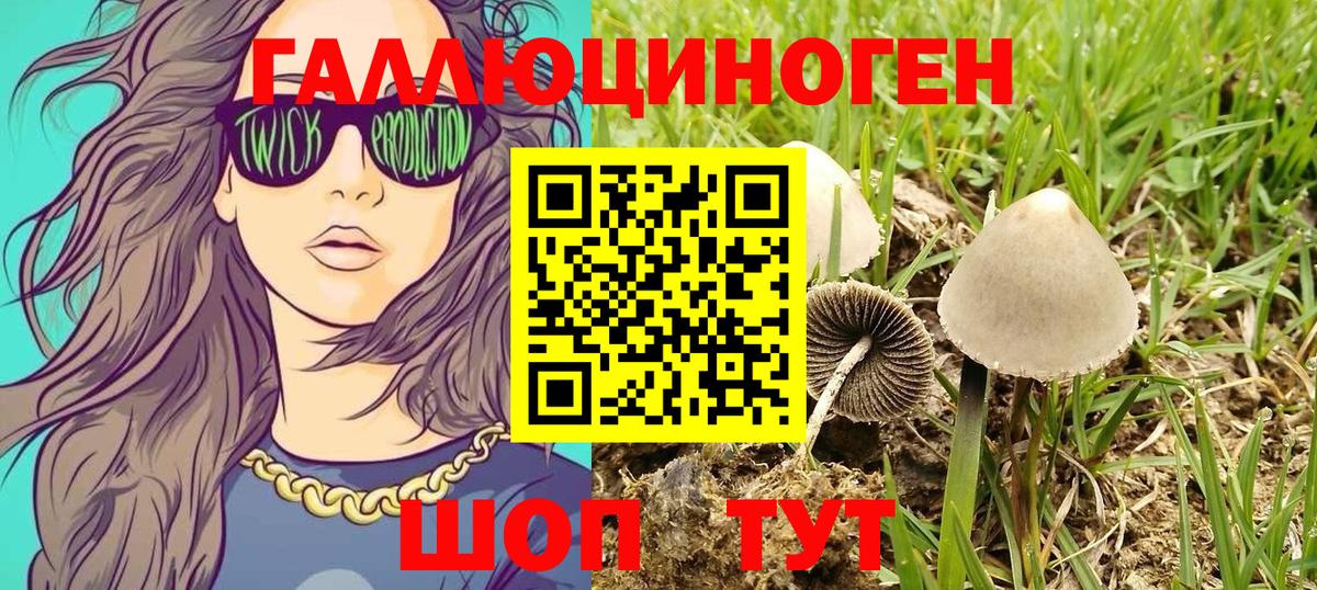 Псилоцибиновые грибы MAGIC MUSHROOMS Ковров